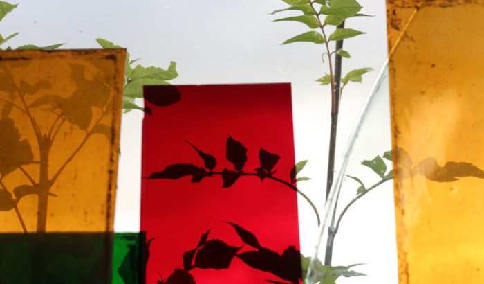 200 year old glass, being readied for re-use